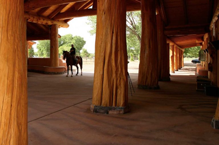 Rancho Corazon Breeding Training Showing Holsteiners Lemitar Nm