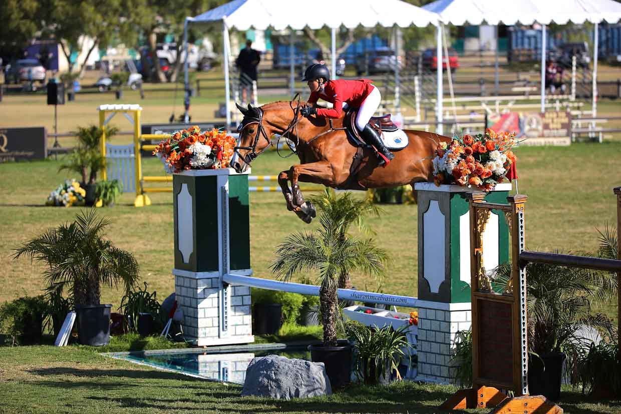chenoa mcelvain jumping a bay holsteiner chenoa mcelvain jumping a bay holsteiner